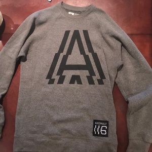 Gray 116 anomaly crewneck sweatshirt